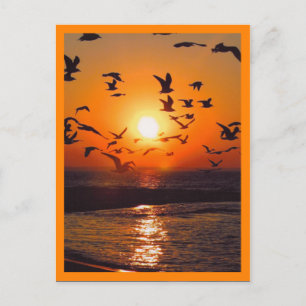 Zonsondergang Oranje Rand Briefkaart
