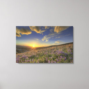 Zonsondergang over de Bitterroot Mountains en wijd Canvas Afdruk