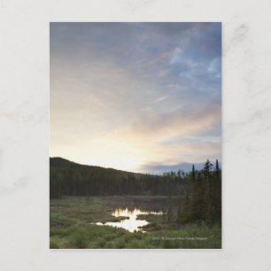 Zonsondergang over een Nevelige Vijver Briefkaart