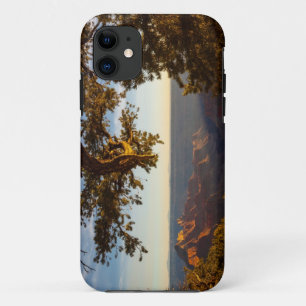 Zonsondergang over Grand Canyon iPhone 11 Hoesje