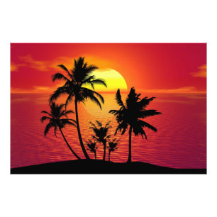 Zonsondergang Palmboom Silhouet Ontwerp-65143 Foto Afdruk
