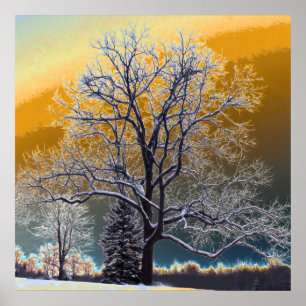 Zonsondergang Poster