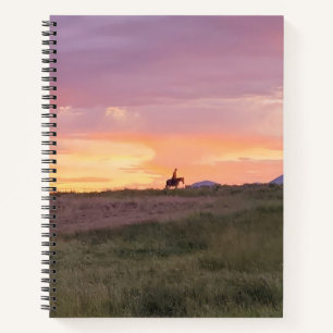 Zonsondergang Rit Spiraal Notebook Notitieboek