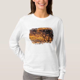 Zonsondergang, Uluru-Kata Tjuta National Park, T-shirt