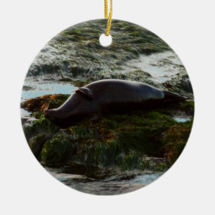 Zonsondergang verlichte zeehond II in San Diego Keramisch Ornament