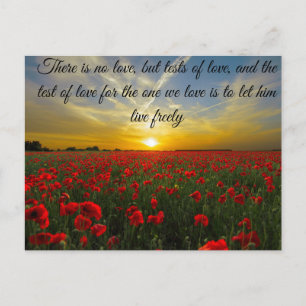 zonsondergang zon briefkaart