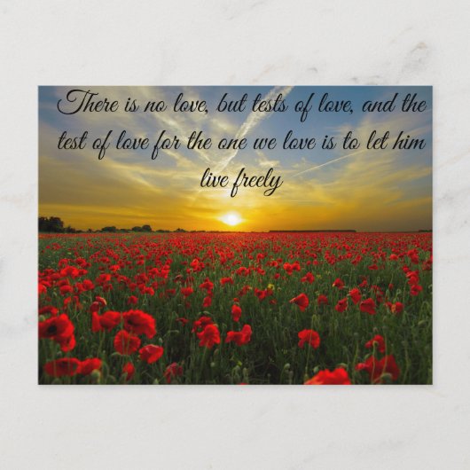 zonsondergang zon briefkaart (Voorkant)