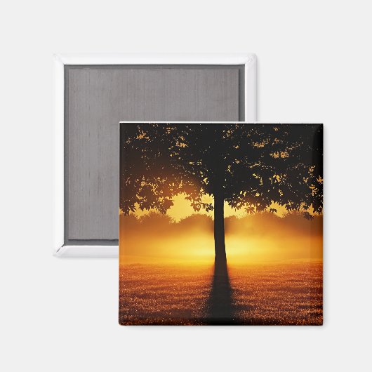 Zonsopgang, boomsilhouet, magneet (Voorkant / Achterkant)