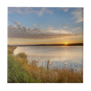 Zonsopgang boven wetlands bij Arrowwood National Tegeltje