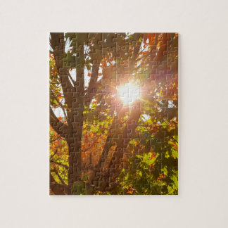 Zonsopgang door herfst gekleurde boomvalfoto legpuzzel