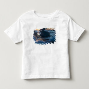 Zonsopgang en ijsbergformaties kinder shirts