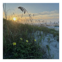 Zonsopgang op het strand boven de duinen