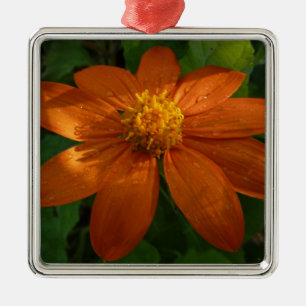 Zonsopgang op oranje bloem van Mexicaanse zonneblo Metalen Ornament