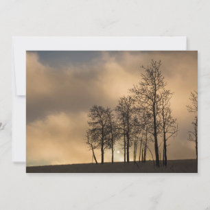 Zonsopgang op wolken en bomen bedankkaart
