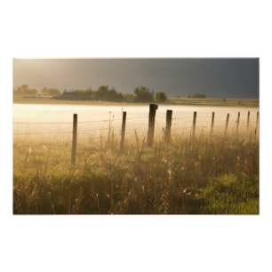 Zonsopgang verlicht mist langs hek bij Charlo Foto Afdruk