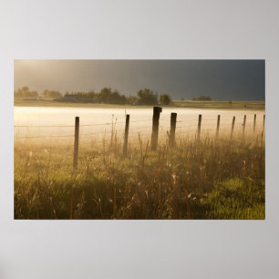 Zonsopgang verlicht mist langs hek bij Charlo Poster