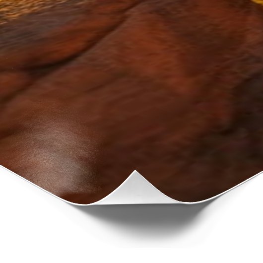 Zonsopkomst over een Glanzend Poster van Canyon Perfect Poster (Hoek)