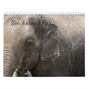 Zoo Animal Fun Kalender