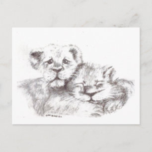 Zoo Babies Briefkaart
