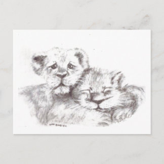 Zoo Babies Briefkaart