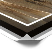 Zoo Baby 1 Poster (Hoek)