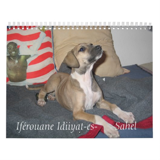 Zoo Calendar van Mimi Kalender (Hoes)