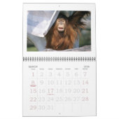 Zoo - Calendrier 2022 (Mar 2026)
