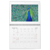 Zoo - Calendrier 2022 (Feb 2026)