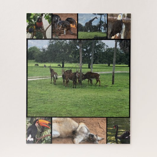 Zoo Days - Animal Puzzle Collage (Vertical)