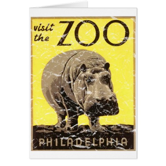 Zoo de Philadelphie-Hippo (Devant)