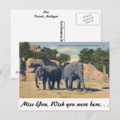 Zoo, Detroit, Michigan Briefkaart (Voorkant / Achterkant)