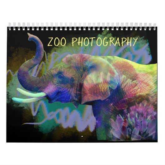 Zoo fotografie kalender (Hoes)