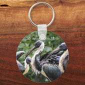 Zoo? Ibis met strohals Sleutelhanger (Voorkant)