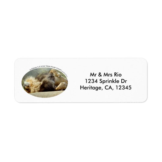 Zoo Lion Dreaming of a Oerwoud Address Label (Voorkant)