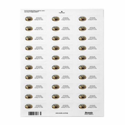 Zoo Lion Dreaming of a Oerwoud Address Label (Full Sheet)