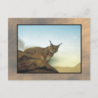 zoo lynx 2 briefkaart