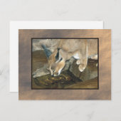 zoo lynx briefkaart (Voorkant / Achterkant)