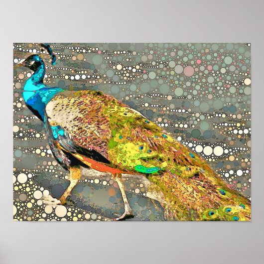 Zoo Peacock Poster (Devant)