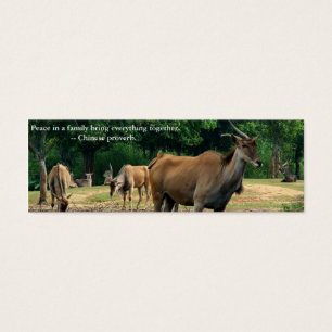 Zoo. Proverbe chinois sur la paix dans la famille