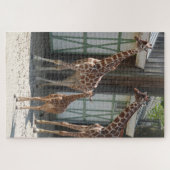 Zoo Puzzel: Giraffes met Baby Legpuzzel (Horizontaal)