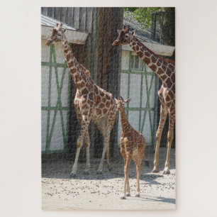 Zoo Puzzel: Giraffes met Baby Legpuzzel