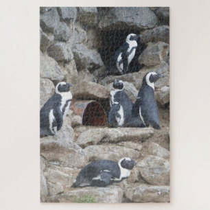 Zoo Puzzel: Schattigee Pinguïns Legpuzzel