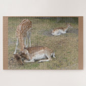 Zoo Puzzle : Joli Cerf (Horizontal)