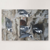 Zoo Puzzle : Pingouins mignons (Horizontal)