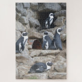 Zoo Puzzle : Pingouins mignons (Vertical)