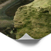 Zoo Rainforest Exhibit Poster (Hoek)