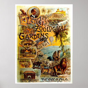 Zoo van Elitch - Afdrukken Poster