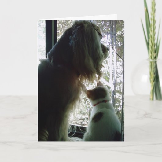 Zoogdag ***DAGER *** Kaart (Voorkant)