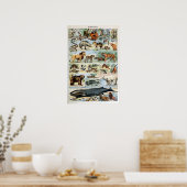  zoogdieren van de wereld poster (Keuken)
