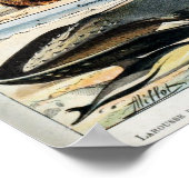  zoogdieren van de wereld poster (Hoek)